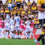 Ferroviária supera Botafogo-SP, Criciúma e Novorizontino tropeçam e Série B esquenta na 29ª rodada