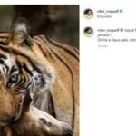 Marcos defende Vitor Roque após postagem considerada homofóbica e recebe apoio de Neymar