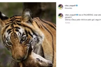 Marcos defende Vitor Roque após postagem considerada homofóbica e recebe apoio de Neymar