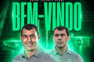 Goiás acerta com Fábio Carille para comandar reta final da Série B