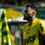 Palmeiras, Flamengo e Vasco lideram a Seleção FI da 28ª rodada do Brasileirão