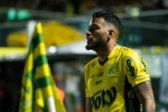Palmeiras, Flamengo e Vasco lideram a Seleção FI da 28ª rodada do Brasileirão