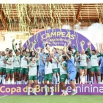Palmeiras derrota Ferroviária e conquista Copa do Brasil feminina