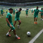 Palmeiras recebe Santos para defender liderança; Neymar fica fora por veto ao gramado sintético