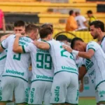 Dal Pozzo vê “ponto do acesso” após empate da Chapecoense com o Volta Redonda