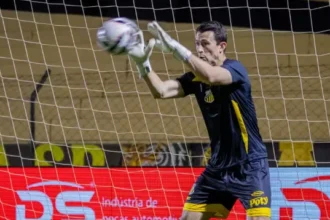 Vila Nova acerta contratação do goleiro Airton, ex-Novorizontino