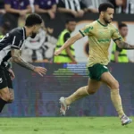 Ceará recebe Palmeiras pela 38ª rodada do Brasileirão; confira onde assistir e prováveis escalações