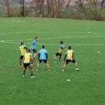 Botafogo-SP inicia pré-temporada com treinos em dois turnos até 22 de dezembro
