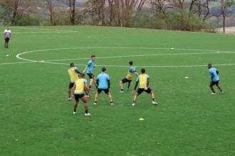Botafogo-SP inicia pré-temporada com treinos em dois turnos até 22 de dezembro