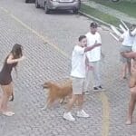 Pochettino se pronuncia pela primeira vez sobre confusão em condomínio de luxo na Grande Fortaleza