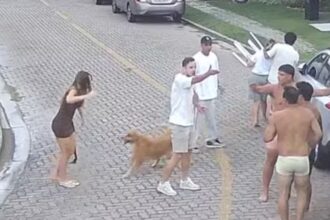 Pochettino se pronuncia pela primeira vez sobre confusão em condomínio de luxo na Grande Fortaleza