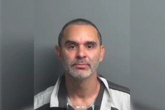 Ex-piloto da F1, Antônio Pizzonia é detido nos EUA acusado de agressão durante evento de kart