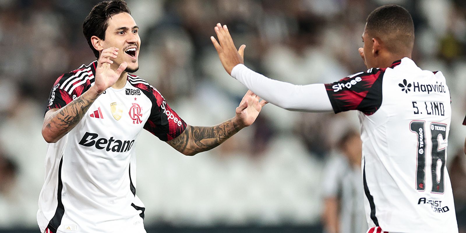 Flamengo vence Botafogo por 3 a 0 e mantém rival no Z-4 do Brasileirão - Imagem do artigo