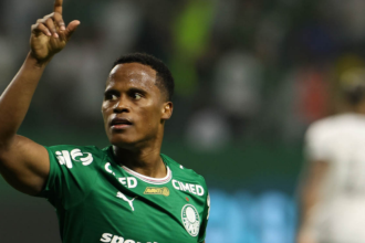 Palmeiras bate Botafogo e assume a ponta do Brasileirão