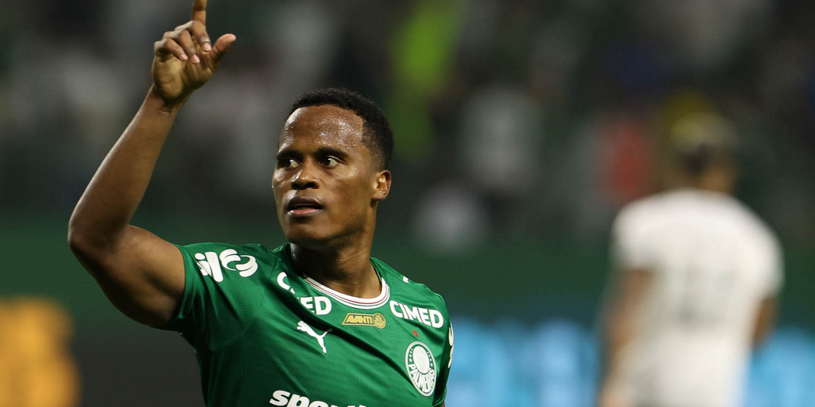Palmeiras bate Botafogo e assume a ponta do Brasileirão - Imagem do artigo