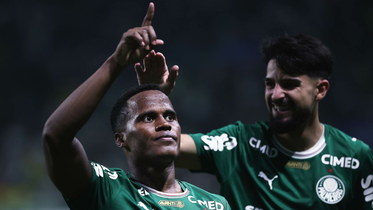 Palmeiras bate Botafogo no Allianz Parque e assume a ponta do Brasileirão - Imagem do artigo