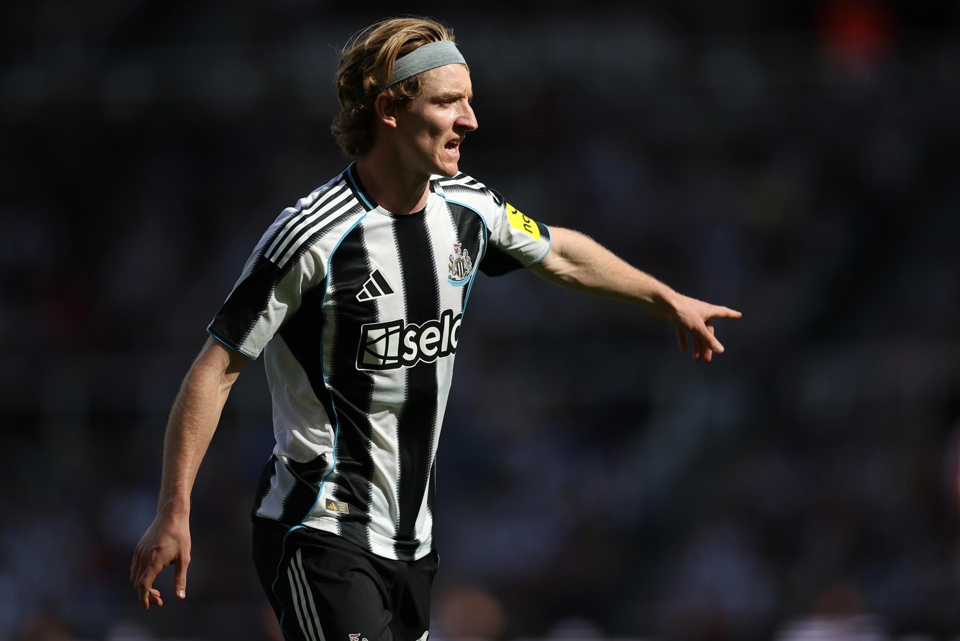 Newcastle e Sunderland duelam neste domingo pela 31ª rodada da Premier League - Imagem do artigo