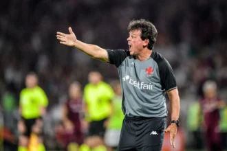Botafogo coloca Fernando Diniz na lista e aguarda aval de John Textor