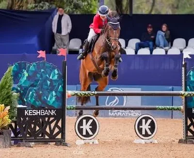 Imagem destacada Concurso de Salto reúne grandes nomes do hipismo na Hípica de Campinas