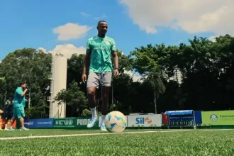 Palmeiras inicia intertemporada com reforços antecipados e atletas de volta