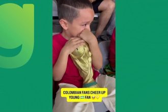 Torcedores colombianos consolam criança uzbeque em cena de fair play na Copa