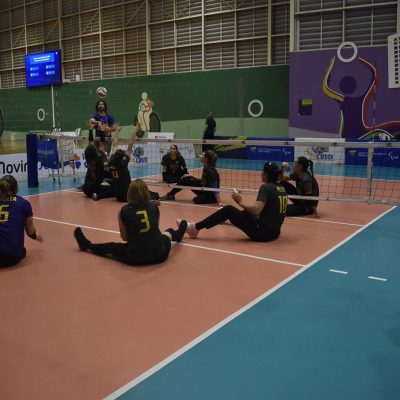 6500580.jpg