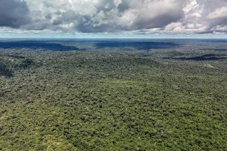 Brasil e Noruega: Confronto no Futebol e Parceria Ambiental