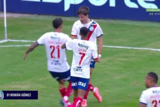 Ceni detalha nova função de Everton Ribeiro no Bahia visando longevidade