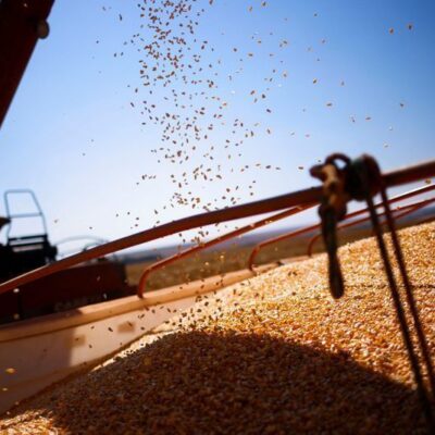 SLC Agrícola inaugura maior algodoeira da companhia na Fazenda Parnaguá, no Piauí