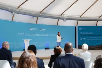 COP17 adia pacto global contra secas e especialistas alertam riscos