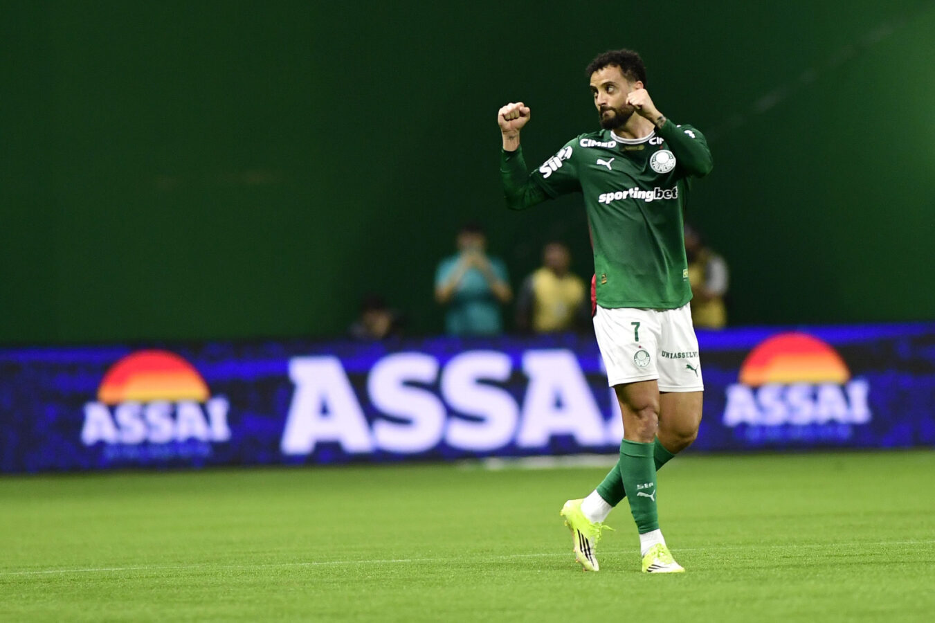 Lesões tiram cinco do Palmeiras; Paulinho é novo desfalque para domingo