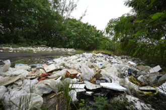 Rio 2016: Parque dos Atletas sucumbe ao abandono enquanto escola brilha