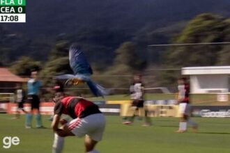 Zagueiro do Flamengo desvia de ataque de arara em jogo Sub-15