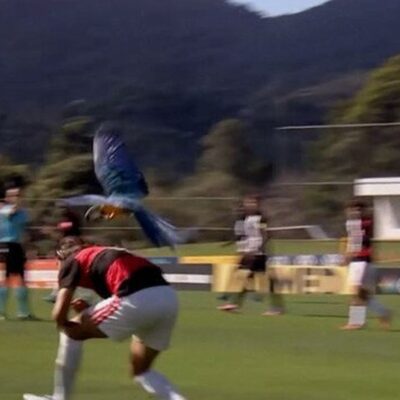 Zagueiro do Flamengo desvia de ataque de arara em jogo Sub-15