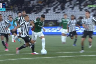 PC de Oliveira pede expulsão de Marçal em Botafogo x Palmeiras