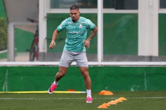 Palmeiras intensifica treinos na semana final antes do Brasileirão